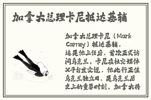 九九精品视频网